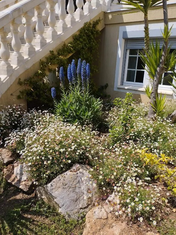 Villa Flora Superior Apartment Cabris 0*,  France