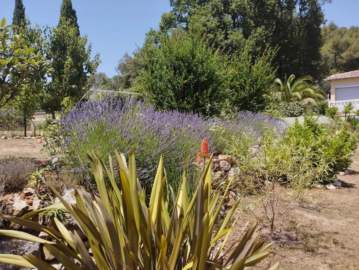 Villa Flora Superior Apartment Cabris France