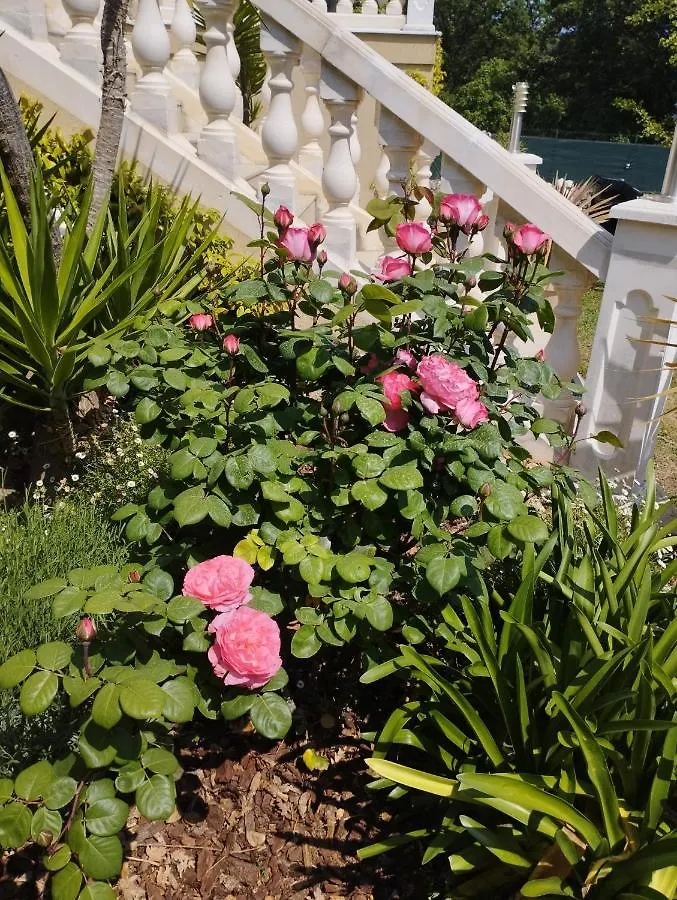 Villa Flora Superior Apartment Cabris