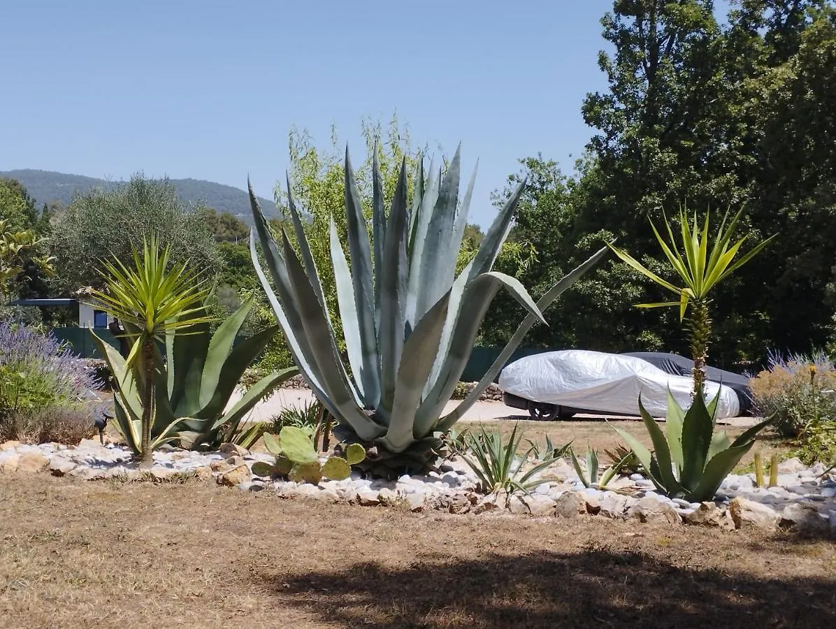Villa Flora Superior Apartment Cabris France